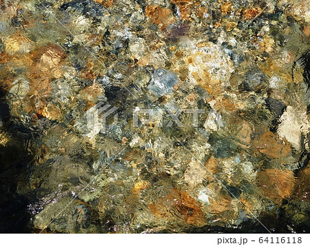 底までよく見える音信川 64116118