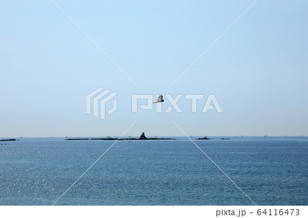 えぼし岩とトンビ 64116473