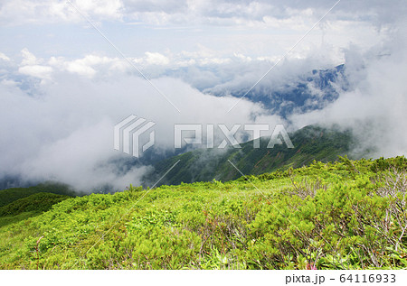 山上の風景 山上の風景 64116933