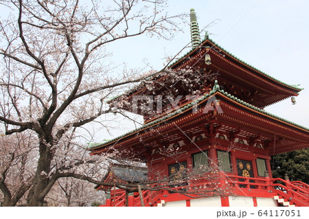 孝道山の仏舎利殿 孝道山の仏舎利殿 64117051