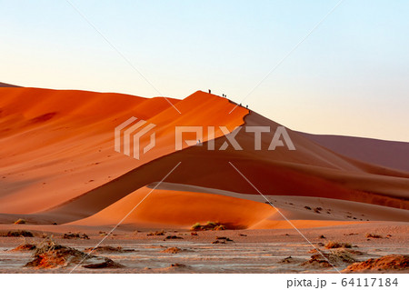 peoples on dune in Hidden Vlei, Namibia, Africa 64117184