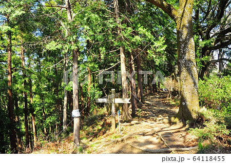 神奈川県厚木市　飯山白山森林公園ハイキングコース　白山神社と展望台分岐 64118455