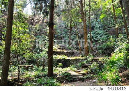 神奈川県厚木市 飯山白山森林公園ハイキングコースの女坂の写真素材