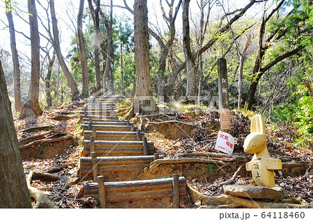 神奈川県厚木市 飯山白山森林公園ハイキングコースの女坂 神奈川県厚木市 飯山白山森林公園ハイキングコースの女坂 64118460