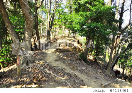 神奈川県厚木市 飯山白山森林公園ハイキングコース 白山頂上と女坂分岐の写真素材