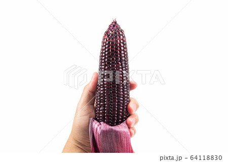 Man's hand holding red sweet corn or Siam Ruby Queen can be eaten fresh isolated on a white background. Man's hand holding red sweet corn or Siam Ruby Queen can be eaten fresh isolated on a white background. 64118830