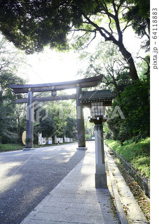 明治神宮 日本一の大鳥居 明治神宮 日本一の大鳥居 64118883