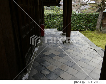 方丈庭園南庭・一休寺 64120338