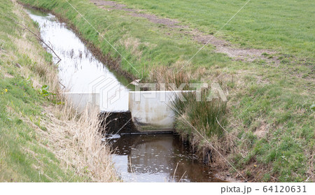 Meadow with a ditch in the Netherlands 64120631