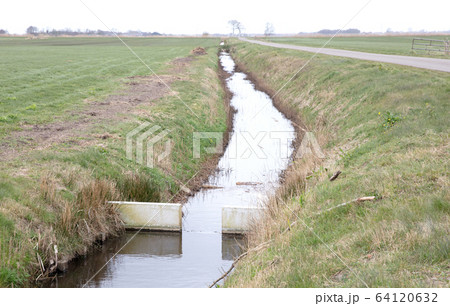 Meadow with a ditch in the Netherlands 64120632