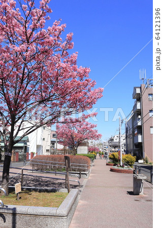 東横フラワー緑道 64121396