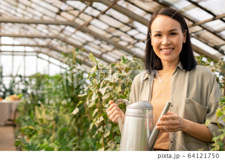 Asian gardener in greenhouse 64121750