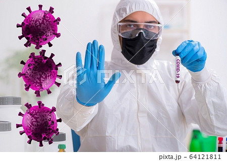 Doctor developing covid-19 vaccine in the lab Doctor developing covid-19 vaccine in the lab 64121811