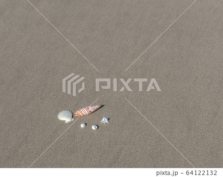 砂浜の貝殻 64122132