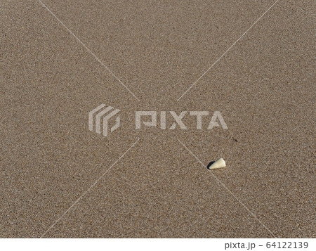 砂浜の貝殻 64122139