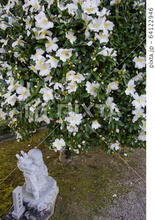 岡山 高梁市の頼久寺 64122946