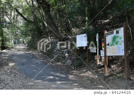 金華山七曲り登山道入口 64124410