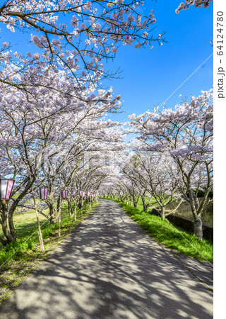 【丹波篠山～尼崎】桜 和道 17インチ 7J PCD100 4本 丹波篠山～尼崎】桜 和道 17インチ 7J PCD100 4本