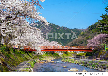 桜が満開の湯村温泉 桜が満開の湯村温泉 64124948
