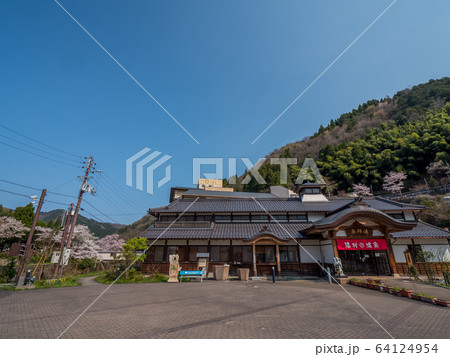 桜が満開の湯村温泉 薬師湯 桜が満開の湯村温泉 薬師湯 64124954