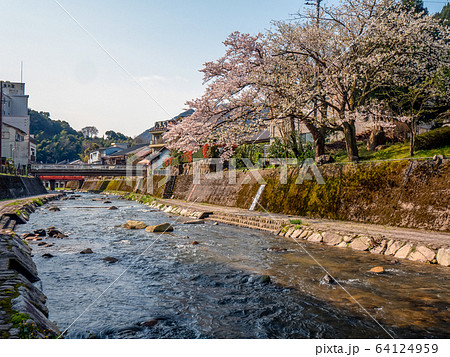 桜が満開の湯村温泉 桜が満開の湯村温泉 64124959