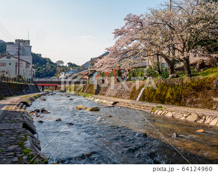 桜が満開の湯村温泉 64124960