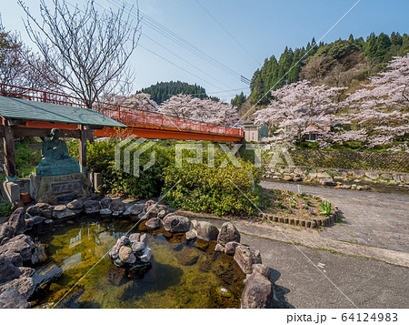 桜が満開の湯村温泉 64124983