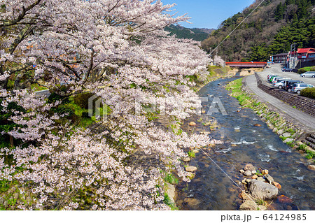 桜が満開の湯村温泉 64124985