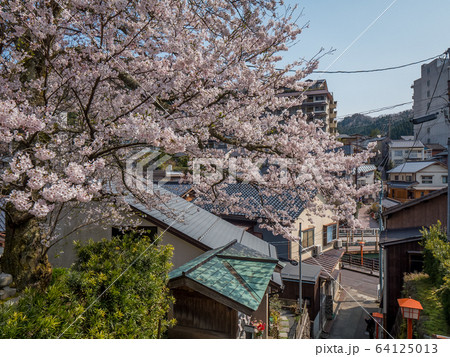 湯村温泉　正福寺からの景色 64125013