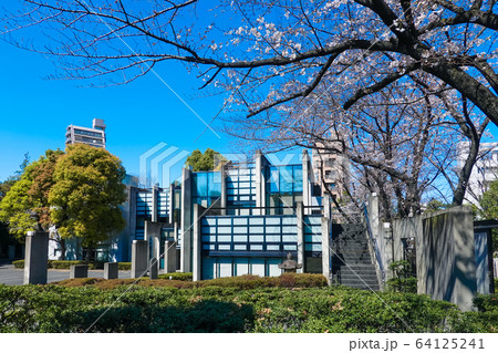 東京都戦没者霊苑の桜 64125241
