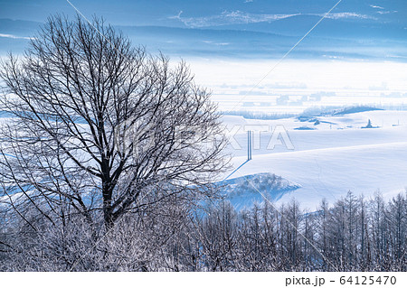 《北海道》冬の北海道・霧氷と雪原 《北海道》冬の北海道・霧氷と雪原 64125470