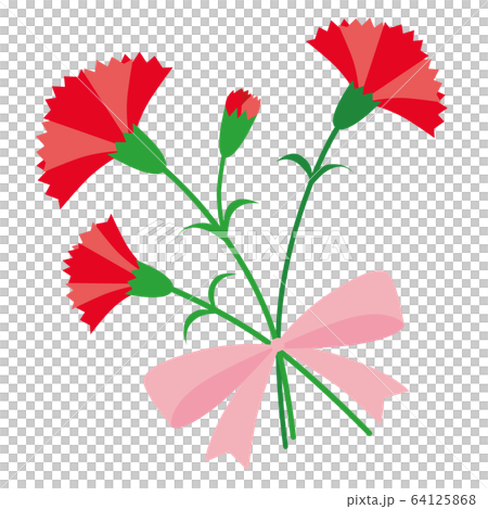 カーネーション03 カーネーション03 64125868