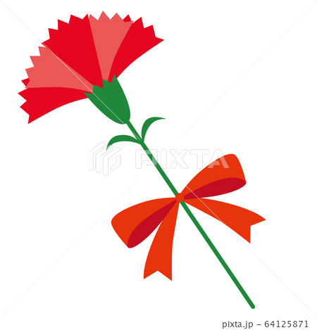 カーネーション05 64125871