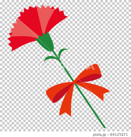 カーネーション05 64125871