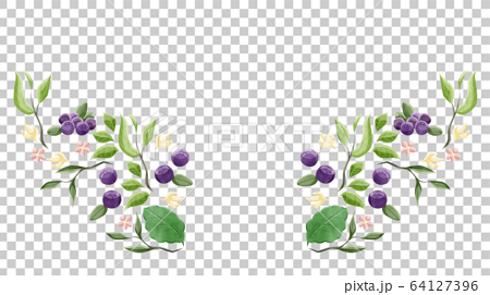 植物とブルーベリーの水彩フレームデザインのイラスト素材