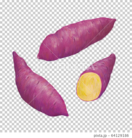 sweet potato sweet potato 64129186