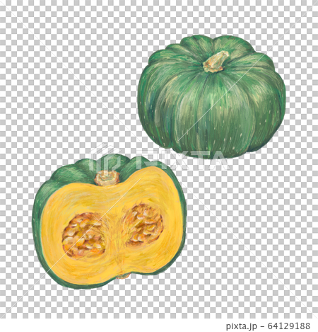 Pumpkin Pumpkin 64129188