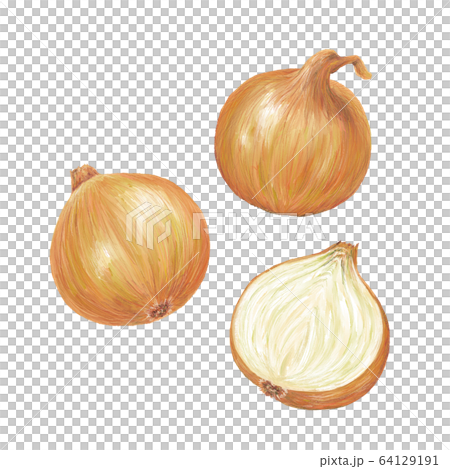 onion onion 64129191