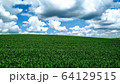 Beautiful green wheat field landscape against a blue cloudy sky 64129515