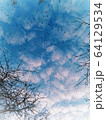 Beautiful blue cloudy sky with flying birds and tree branches 64129534