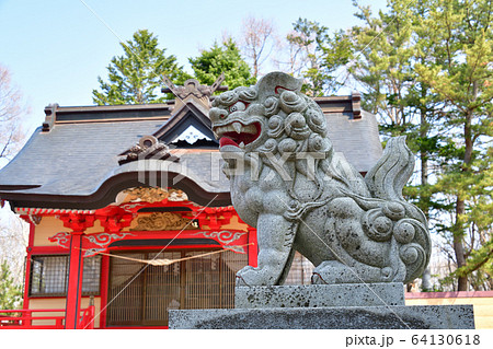 春の北海道せたな町北桧山区玉川神社の狛犬を撮影 64130618