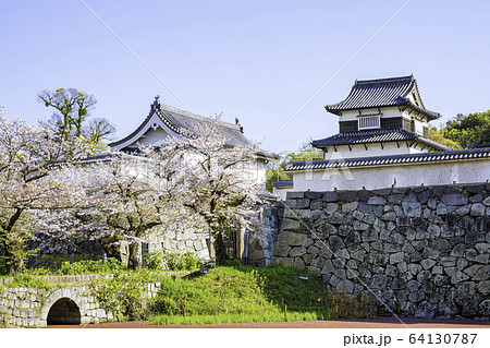 桜満開の福岡城址 桜満開の福岡城址 64130787