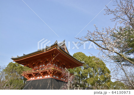 【京都府】世界遺産・仁和寺の春 【京都府】世界遺産・仁和寺の春 64130973