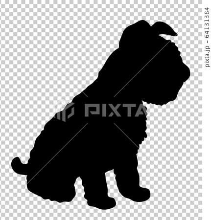 犬シルエット 動物 座る犬 ミニチュア シュナウザー 子犬のイラスト素材