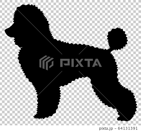 犬シルエット 動物 立っている犬 プードルのイラスト素材 64131391 Pixta