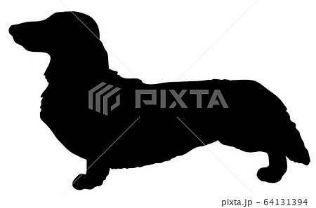 犬シルエット 動物 犬 ダックスフント ミニチュアダックスのイラスト素材