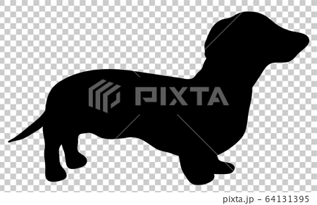 犬シルエット 動物 立っている犬 ダックスフントのイラスト素材