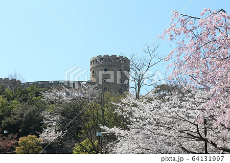 松山総合公園の桜と春の風景 64131997