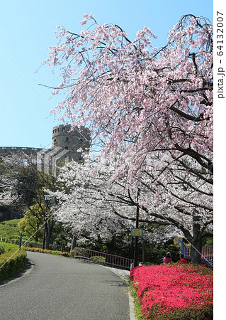 松山総合公園の桜と春の風景 松山総合公園の桜と春の風景 64132007