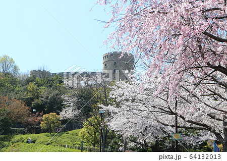 松山総合公園の桜と春の風景 64132013